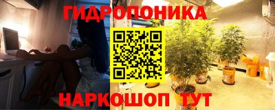 прущая мука Пугачёв