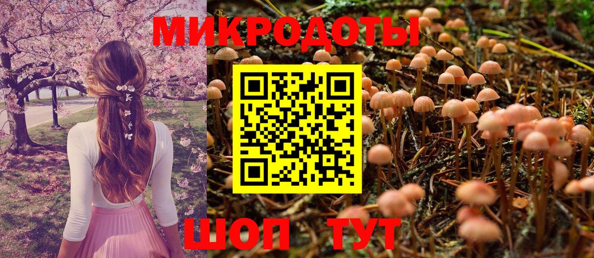 Белореченск  Псилоцибиновые грибы Psilocybine cubensis  Вход с VPN 